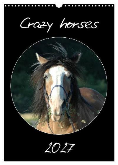 Crazy horses (Wandkalender 2027 DIN A3 hoch), CALVENDO Monatskalender