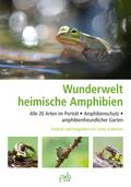 Wunderwelt heimische Amphibien