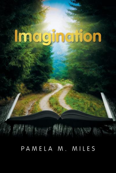 Imagination
