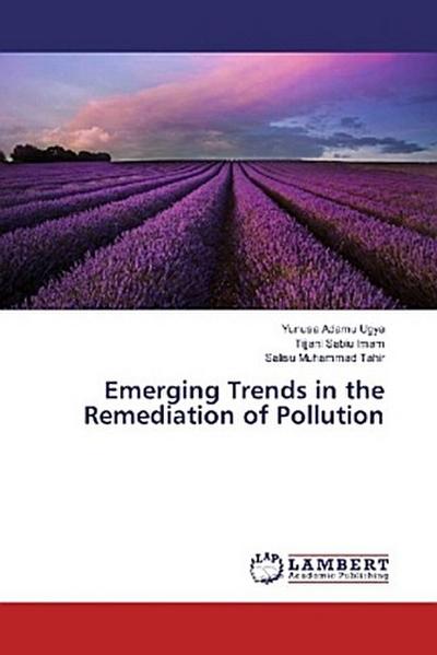 Emerging Trends in the Remediation of Pollution