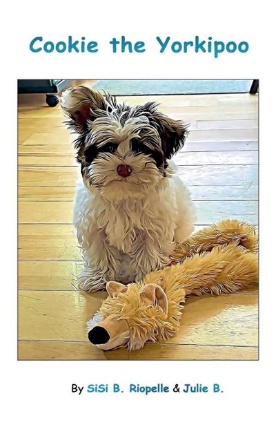 Cookie the Yorkipoo