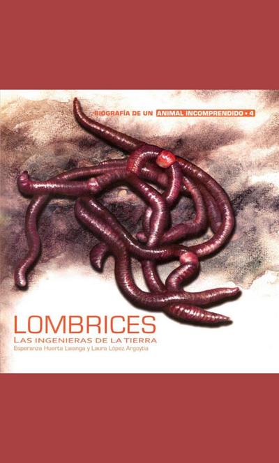 Lombrices