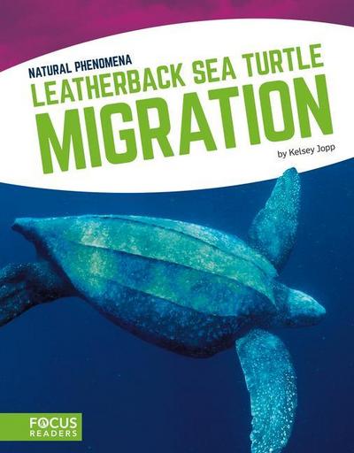 Leatherback Sea Turtle Migration