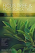 Ficus Tree and Ficus Bonsai Tree. The Complete Guide to Growing, Pruning and Caring for Ficus. Top Varieties