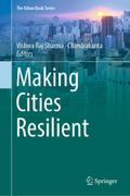 Making Cities Resilient