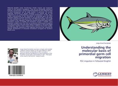 Understanding the molecular basis of primordial germ cell migration