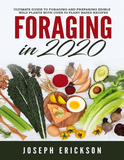 Foraging in 2020