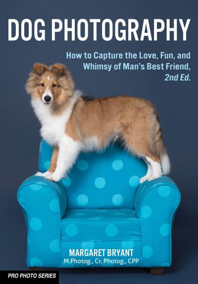 Dog Photography: How to Capture the Love, Fun, and Whimsy of Man’s Best Friend