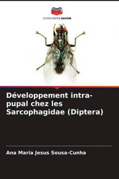 Développement intra-pupal chez les Sarcophagidae (Diptera)