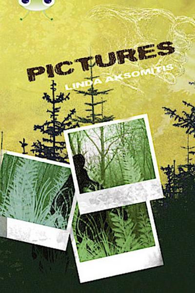 Bug Club Independent Fiction Year 5 Blue B Pictures