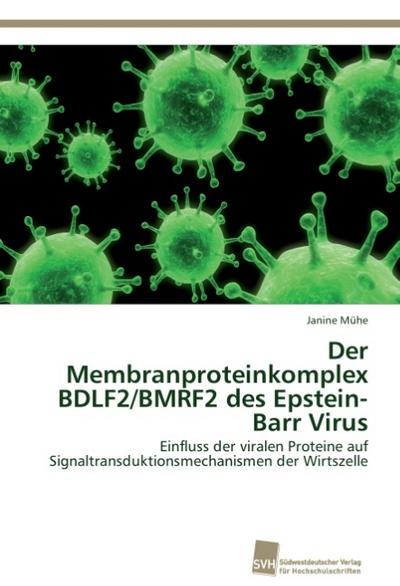 Der Membranproteinkomplex BDLF2/BMRF2 des Epstein-Barr Virus