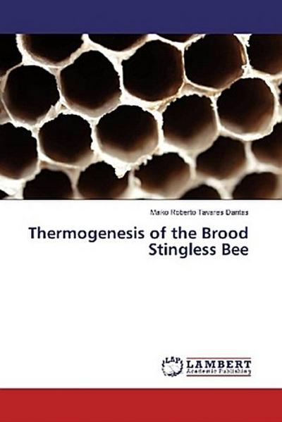 Thermogenesis of the Brood Stingless Bee