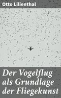 Der Vogelflug als Grundlage der Fliegekunst