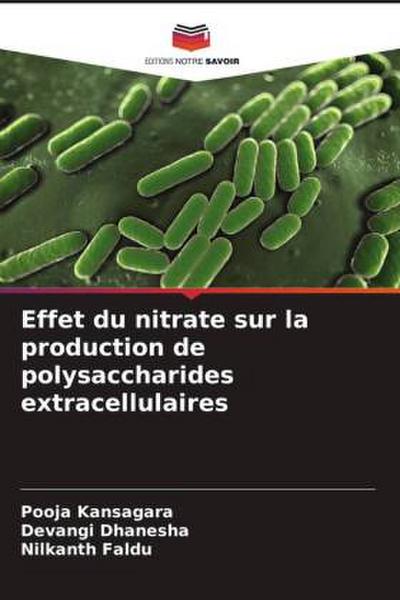 Effet du nitrate sur la production de polysaccharides extracellulaires