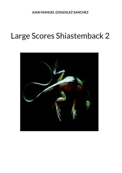 Large Scores Shiastemback 2