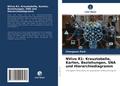 NVivo R1: Kreuztabelle, Karten, Beziehungen, SNA u