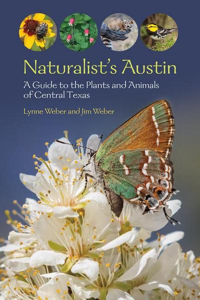 Naturalist’s Austin: A Guide to the Plants and Animals of Central Texas (W. L. Moody Jr. Natural History)