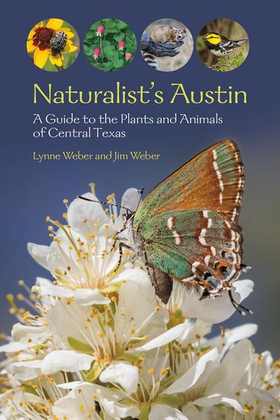 Naturalist’s Austin