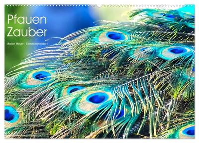 Pfauen Zauber (Wandkalender 2026 DIN A2 quer), CALVENDO Monatskalender