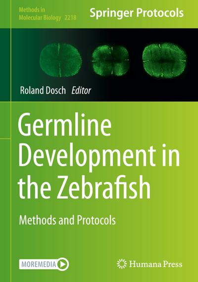Germline Development in the Zebrafish