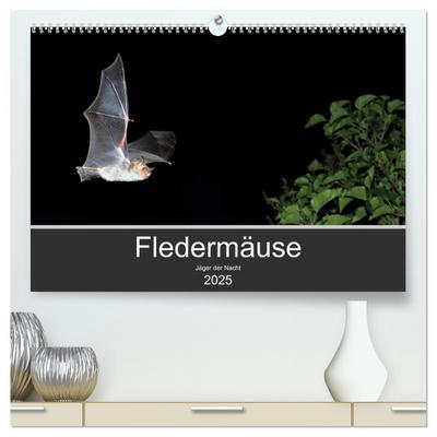Fledermäuse - Jäger der Nacht (hochwertiger Premium Wandkalender 2025 DIN A2 quer), Kunstdruck in Hochglanz