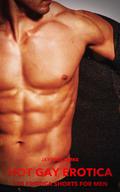 Hot Gay Erotica - Volume 4