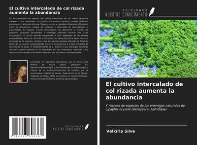 El cultivo intercalado de col rizada aumenta la abundancia