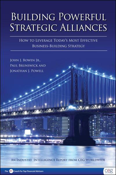 Building Powerful Strategic Alliances