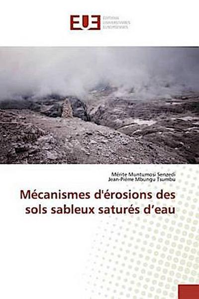 Mécanismes d’érosions des sols sableux saturés d’eau