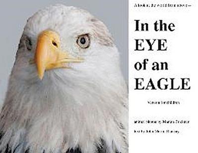 In the Eye of an Eagle