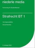 Strafrecht BT 1 - Karteikarten - 2022