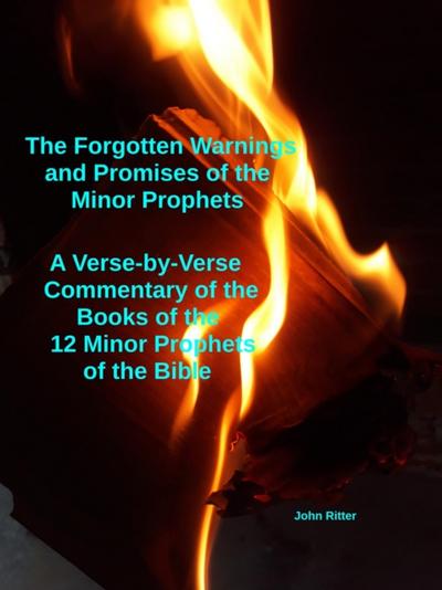 Forgotten Warnings and Promises of the Minor Prophets A Verse-by-Verse Commentary of the Books of  the 12 Minor Prophets of the Bible