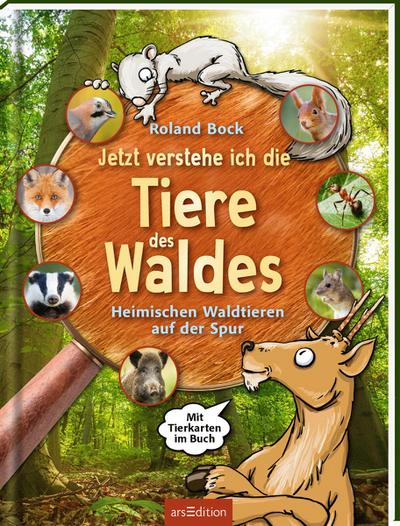 Jetzt verstehe ich die Tiere des Waldes