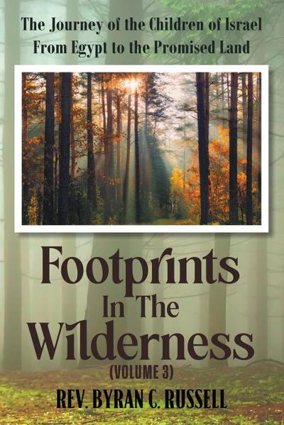 Footprints in the Wilderness (Volume 3)