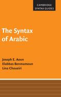 The Syntax of Arabic