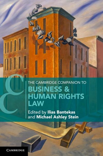 The Cambridge Companion to Business & Human Rights Law