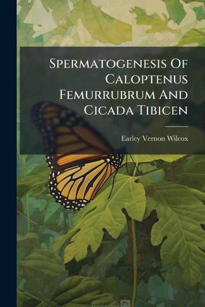 Spermatogenesis Of Caloptenus Femurrubrum And Cicada Tibicen