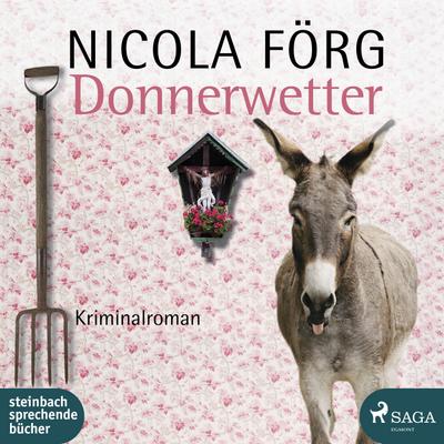 Förg, N: Donnerwetter/ MP3CD