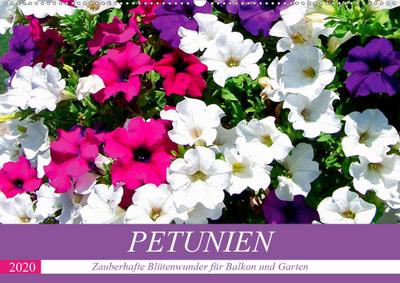 Hurley, R: Petunien. Zauberhafte Blütenwunder für Balkon und
