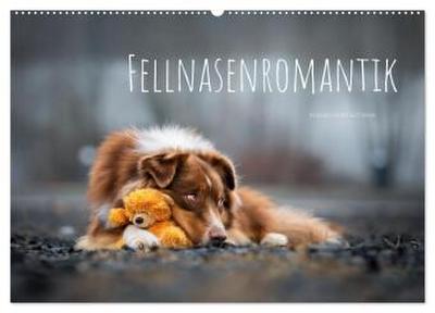 Fellnasenromantik (Wandkalender 2026 DIN A2 quer), CALVENDO Monatskalender