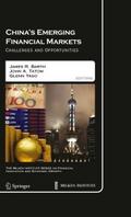 China’s Emerging Financial Markets