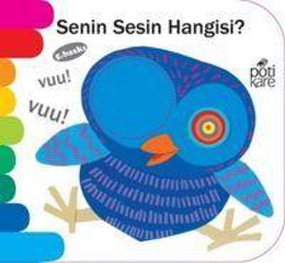 Senin Sesin Hangisi
