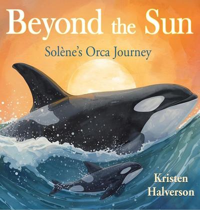 Beyond the Sun
