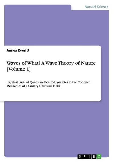 Waves of What? A Wave Theory of Nature [Volume 1] - James Everitt