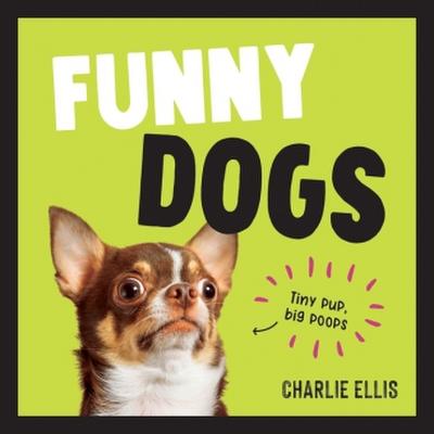 Funny Dogs.