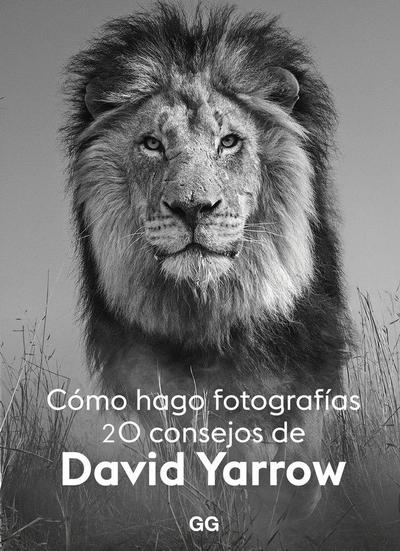 Cómo hago fotografías 20 consejos