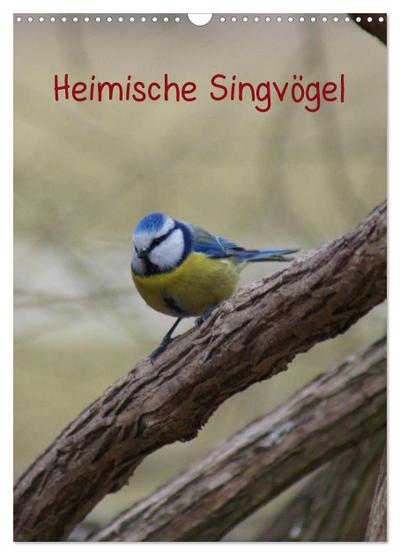 Heimische Singvögel (Wandkalender 2024 DIN A3 hoch), CALVENDO Monatskalender