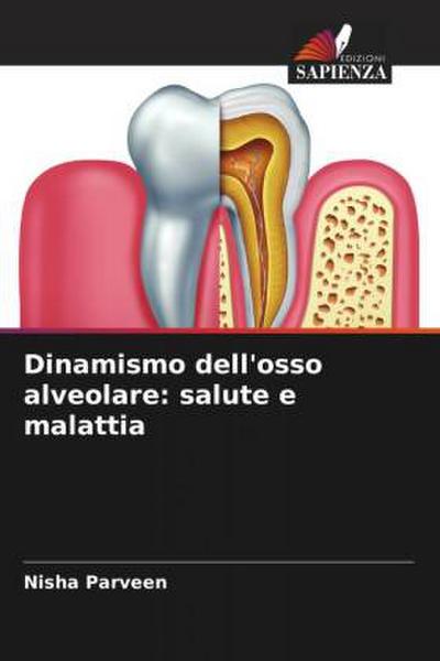 Dinamismo dell’osso alveolare: salute e malattia