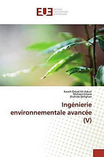 Ingénierie environnementale avancée (V)