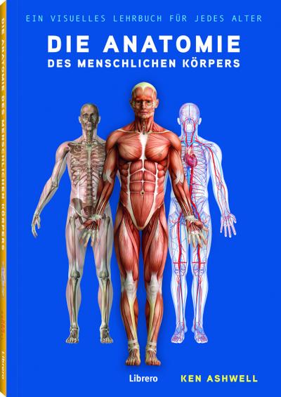 Die Anatomie des menschlichen Körpers